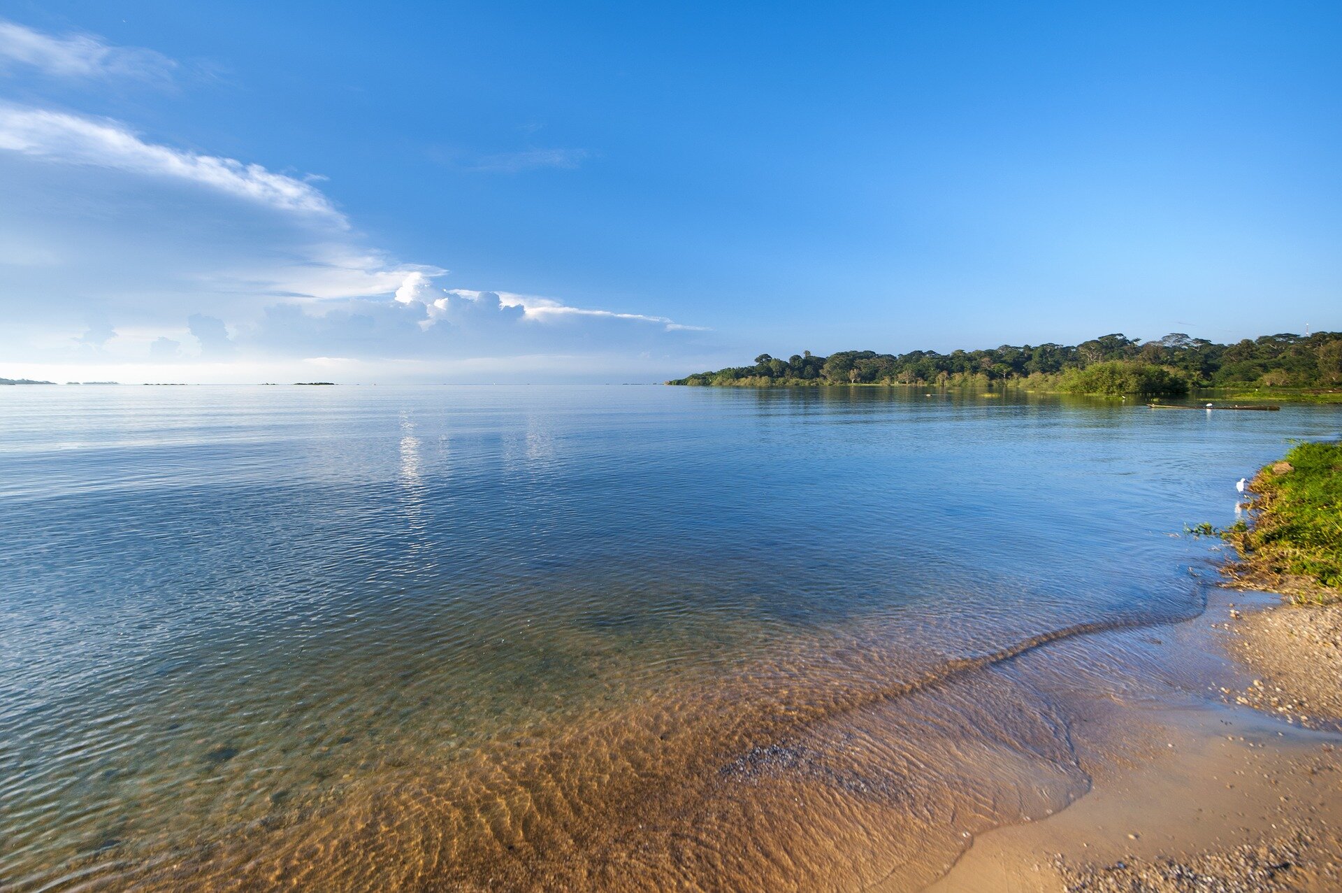 Calm shoreline of Lake Victoria near Kisumu