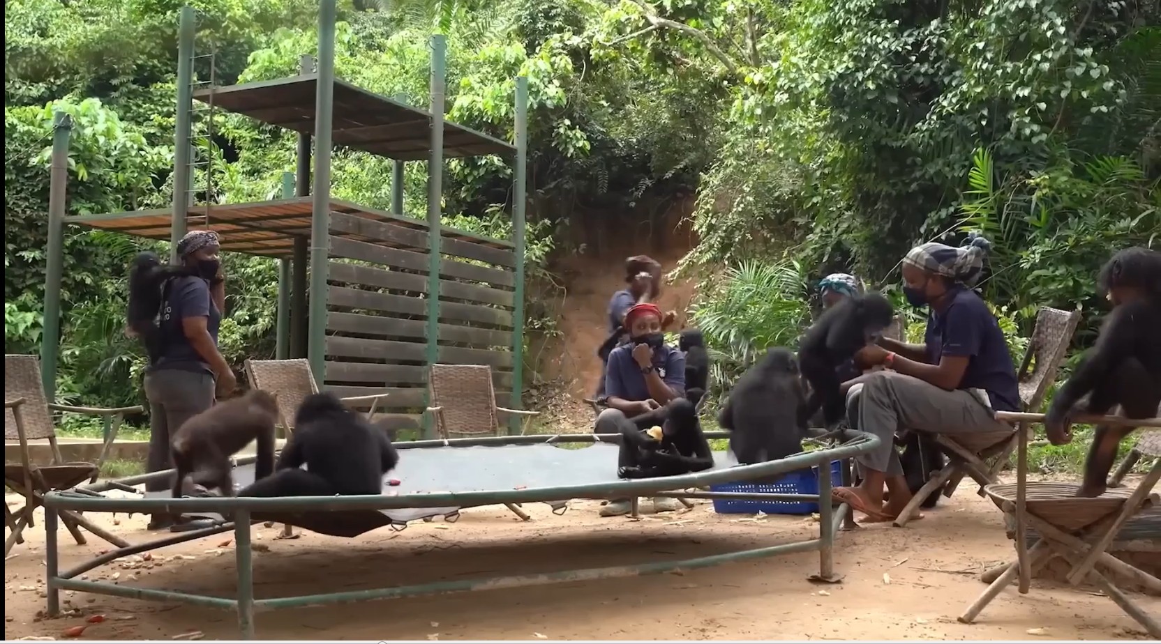 Lola ya Bonobo