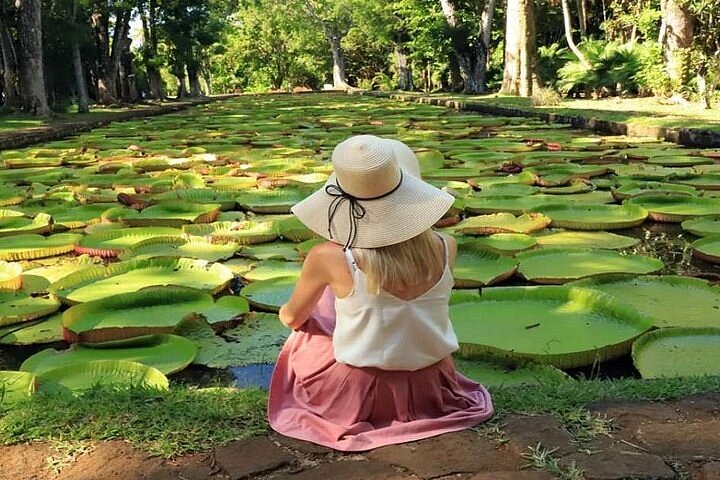 Sir Seewoosagur Ramgoolam Botanical Garden giant water lilies