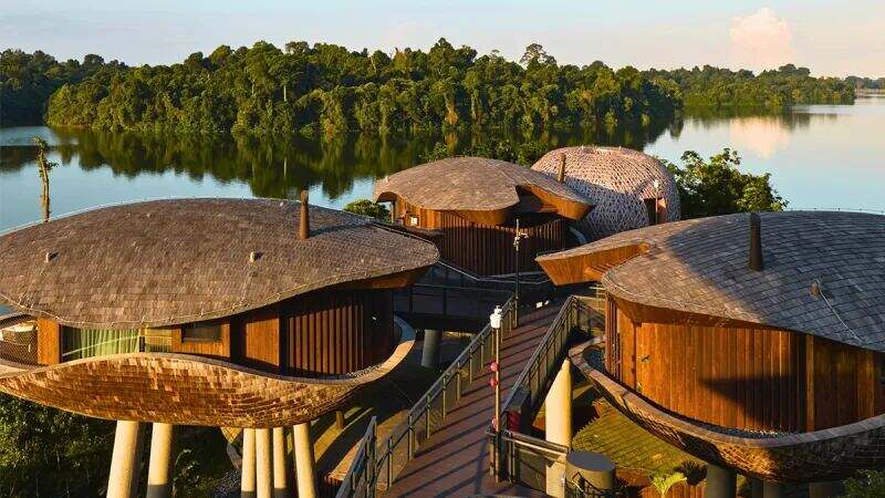 Banyan Tree Mandai Rainforest Resort's cocoon-shaped villas over the reservoir