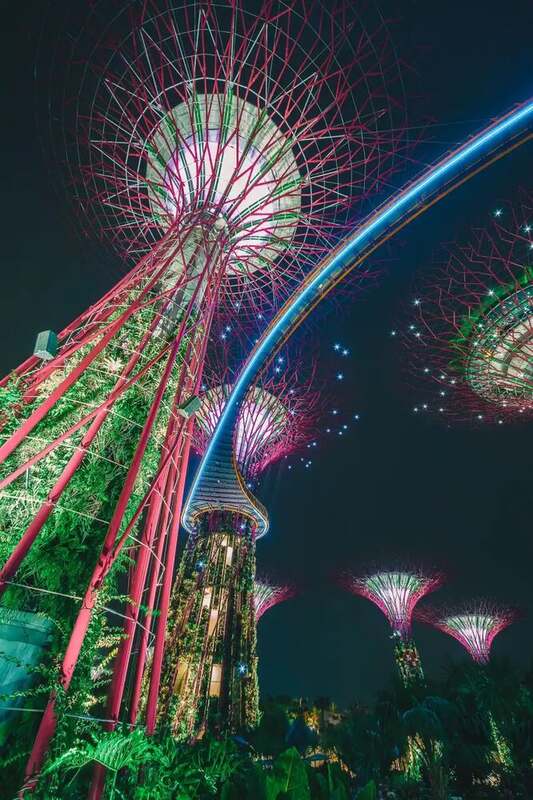 Looking up at the OCBC Skyway between the Supertrees at night